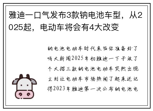 雅迪一口气发布3款钠电池车型，从2025起，电动车将会有4大改变